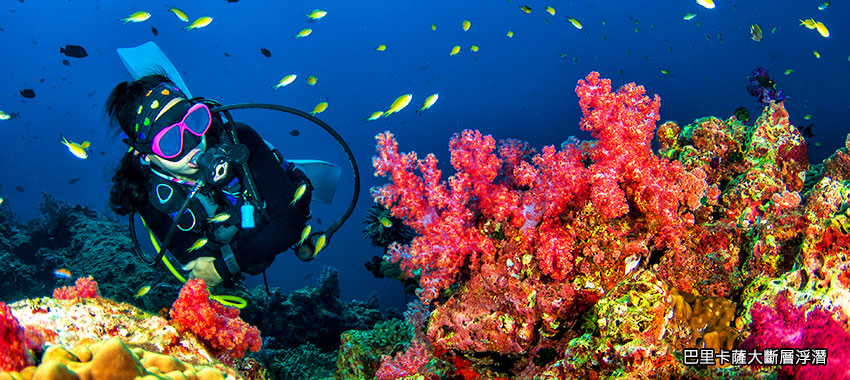 巴里卡薩大斷層浮潛